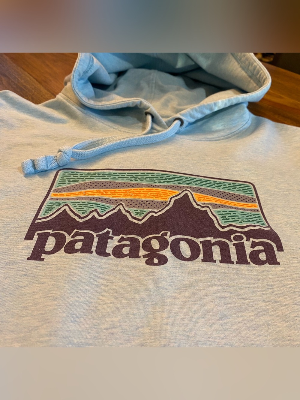 Patagonia Ahnya Unisex-Men’s Light Blue Hoodie with Multicolor Mountain Logo Med